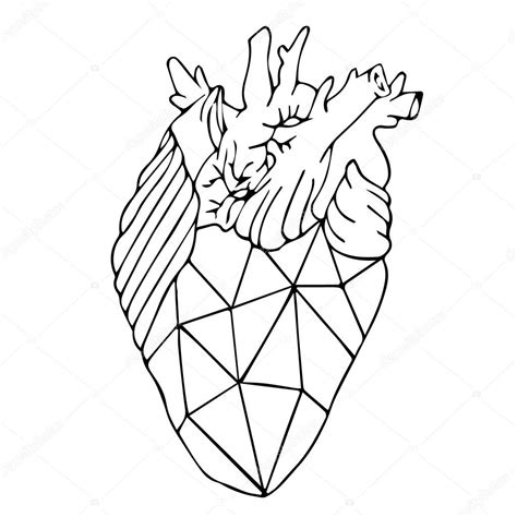 Heart Vector Illustration Human Heart Heart Icon Heart