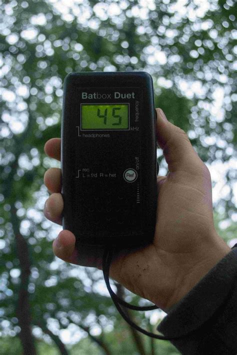 Here you mix the bat sounds with a tunable of course you can experiment with higher or lower division rates, i found the. The NHBS Guide to Bat Detecting for Beginners
