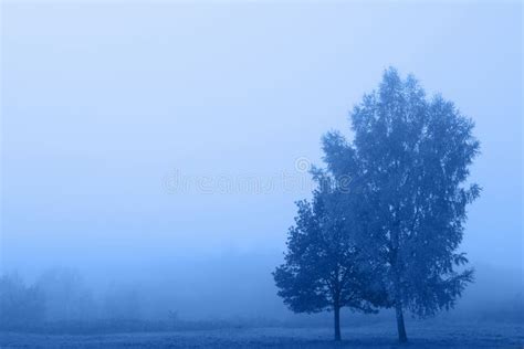 Blue Misty Landscape Classic Blue 2020 Stock Image Image Of Tree