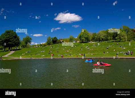 Beaver Lake Mount Royal Park Montreal Quebec Canada Stock Photo Alamy