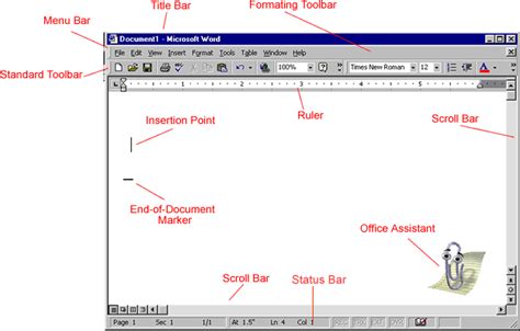 Document Window In Microsoft Word