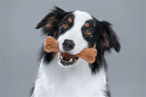 The 20 Safe Chews For Happy Pups The Ultimate Guide To Dog Chewing Bones