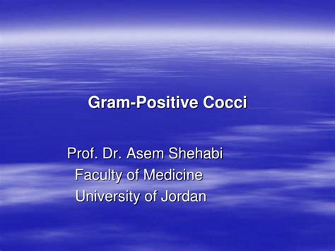 Ppt Gram Positive Cocci Powerpoint Presentation Id2267298
