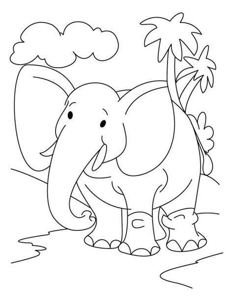 Elephant In The Jungle Coloring Page Download Free Elephant In