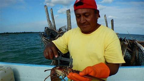 Ingresos Por Pesca En Yucatán Más Redituables Que Lo Obtenido Por