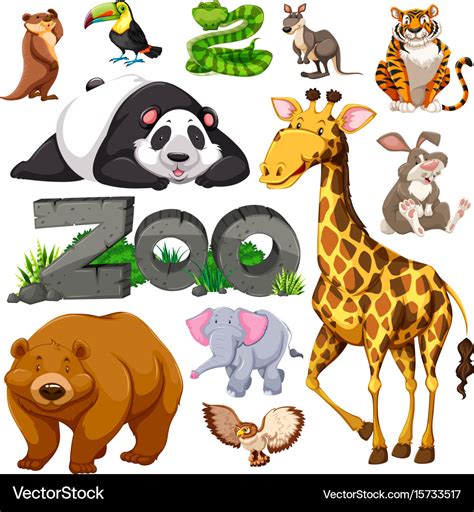 Types Of Zoo Animals