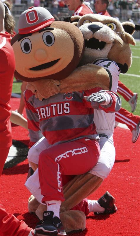 Mascot fights are nothing new in college football: A video tour ...