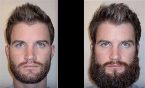 Beard Growth Stages Information Tatto Designs