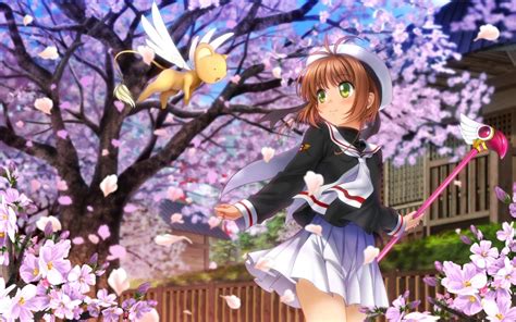 Conveniently organized in many categories, you'll find images of many styles and topics. Cardcaptor Sakura Wallpapers - Top Free Cardcaptor Sakura ...