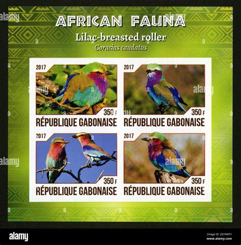Stamp Print In Gabon 2017 Birds Stock Photo Alamy