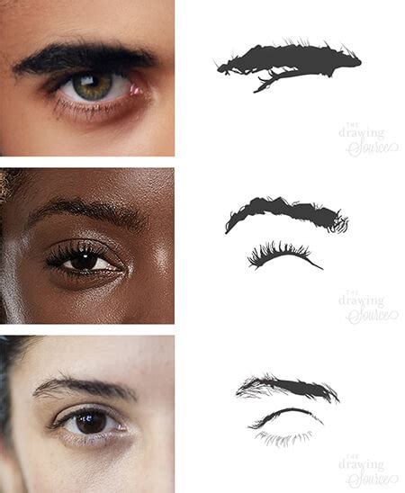 How To Draw Eyebrows Step By Step Realistic Drawing Tutorial
