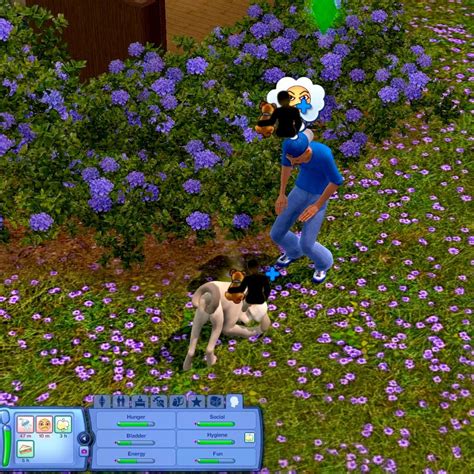 Buy The Sims 3 Pets Pc Game Origin Cd Key