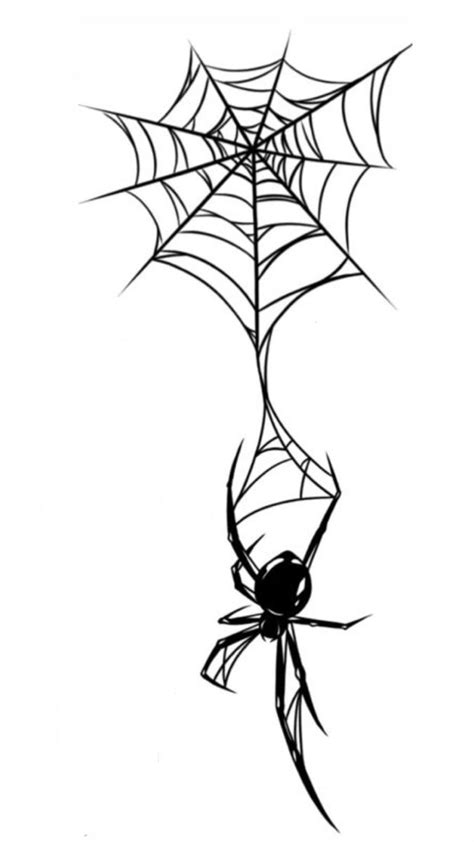 Spider Web Decoration Pattern Spider Drawing Web Drawing Spider Sketch Png And Vector With
