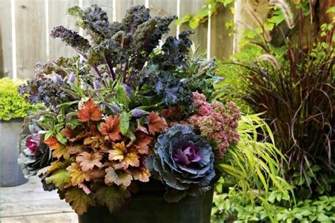 Fall Gardening Ornamental Kale And Cabbage Planter Fall