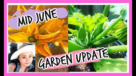 June Garden Update Youtube