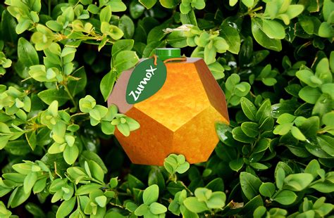 Zumox Orange Juice Packaging Student Project On Behance