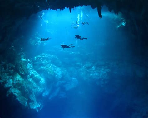 Tulum Cave Diving Imgpile