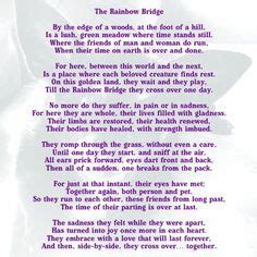 Rainbow bridge no photo digital download rainbow bridge poem rainbow bridge dog rainbow bridge cat sympathy pet loss over the rainbow us. Rainbow bridge poem, Rainbow bridge and Poem on Pinterest