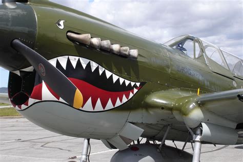 WW II P 40 Flying Tiger Fighter The Curtiss P 40 Warhawk Was An