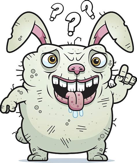 Ugly Bunny Stock Photos Pictures And Royalty Free Images Istock