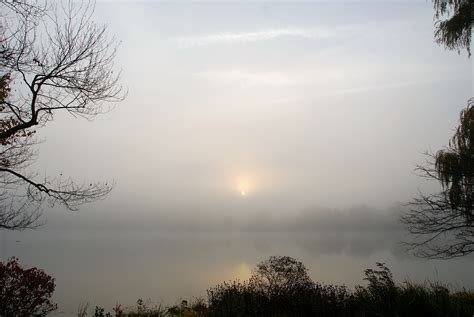 Foggy Dawn II* | At My Window