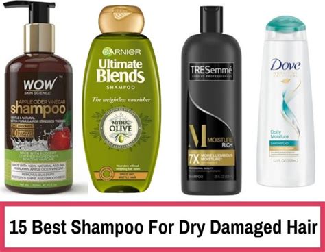 15 Best Shampoo For Dry Damaged Hair Reviews India 2020 Trabeauli