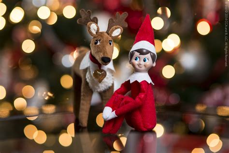 Is their such a thing as elf on the shelf? 12 Fun facts about Elf on the Shelf you never knew before ...