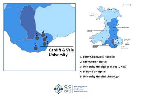 Cardiff And Vale University Health Board Richmond Nursing Agency Ltd