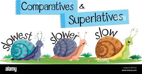 Comparative And Superlative English Words Illustration Stock Vector