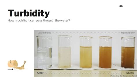 Turbidity Water Quality Parameters Youtube