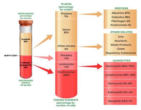 Composition Of Blood Rbcs Wbcs Plasma And Formed Elements
