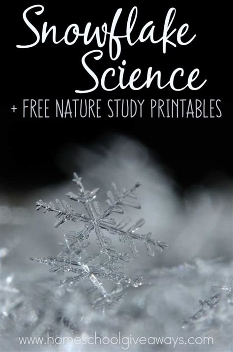Snowflake Science And Free Nature Study Printables