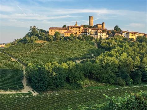 10 Reasons To Visit The Langhe Wine Region In Piemonte Italy Italy