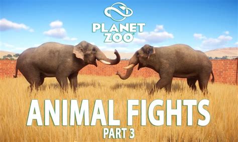 Every Animal Fights In Planet Zoo Planet Zoo Planet Zoo Animal