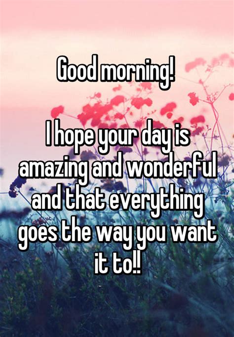 Good Morning I Hope Your Day Is Amazing And Wonderful And That