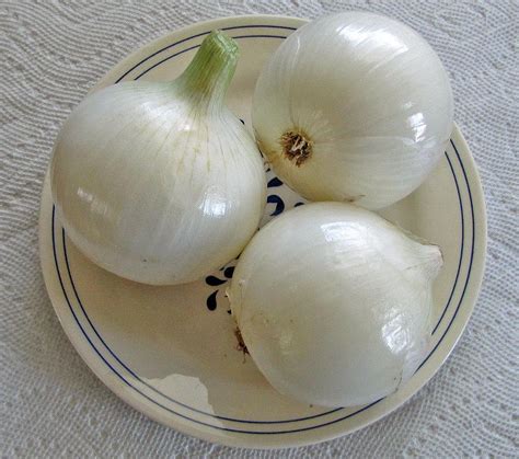 Essa nova cepa é provavelmente mais contagiosa e menos sensível às vacinas que as variantes o reino unido já identificou pelo menos 77 casos da variante indiana e, de acordo com altmann, essa. Garden Onion (Allium cepa 'Super Star') in the Onions ...