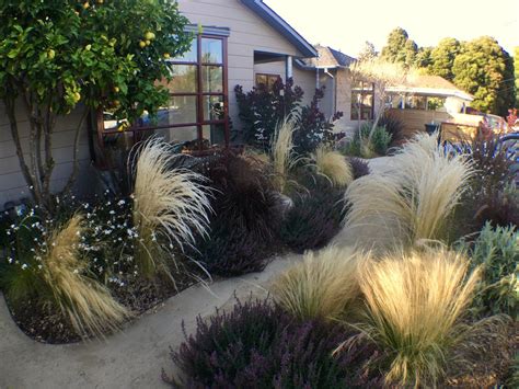 Modern Californian Edible Landscape Traditional Landscape San