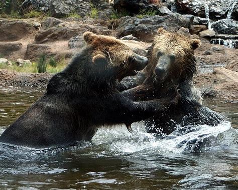 San Francisco Zoo - All You Need to Know BEFORE You Go - Updated 2021