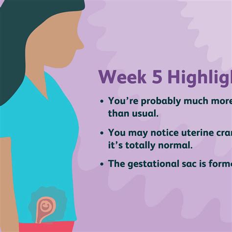 Pregnancy Calendar 5 Weeks Month Calendar Printable