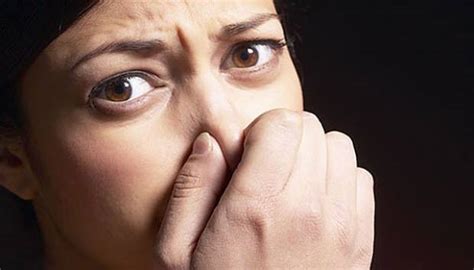 Mencium Bau Kentut Menyembuhkan Berbagai Penyakit