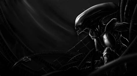 Xenomorph Wallpaper ·① Download Free Stunning Hd Backgrounds For