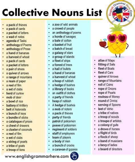 English Detailed Collective Nouns List English Grammar Here
