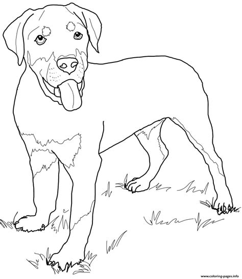 We love coloring pages so much that we've collected all of our sheets on our coloring pages for kids. Rottweiler Puppy Cute Dog Coloring Pages Printable