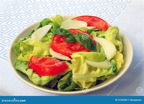 Tomato Lettuce Salad Stock Photo Image Of Supplement 3159304