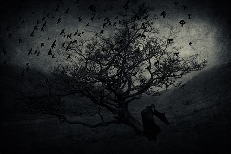 Fondos De Pantalla Paisaje Aves Monocromo Oscuro Noche Horror