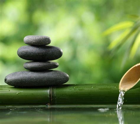 Zen Yoga Wallpapers Top Free Zen Yoga Backgrounds Wallpaperaccess