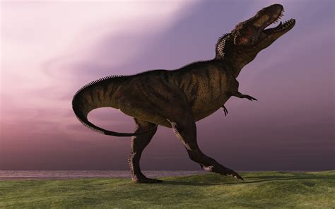 Check spelling or type a new query. Dinosaurs Jigsaw Puzzles Kids - Android Apps on Google Play