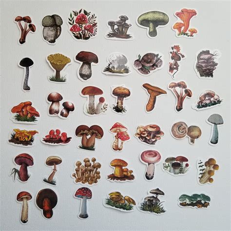 40pcs Mushroom Sticker Pack For Journaling Scrapbooking Etsy