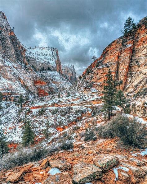 How To Plan A Winter Getaway To Zion National Park Zion National Park