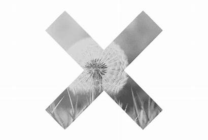 Xx Gifs Quotev Album Coexist Cool Favim